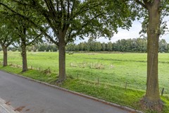 Bosweg 69003a.jpg